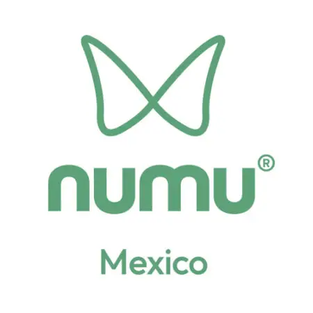 logo of numu Mexico in green